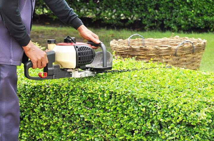 Maintenance de jardins Clichy-sous-Bois